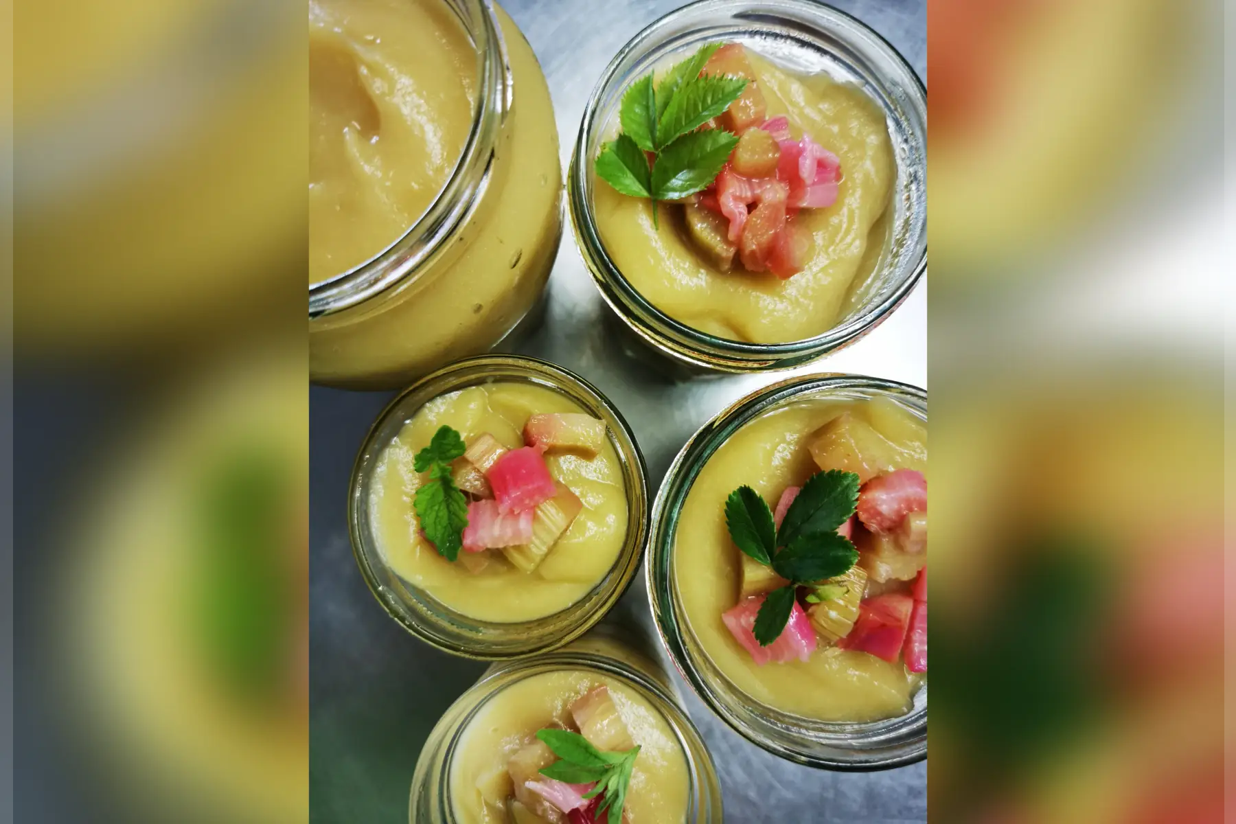 compote de pommes et rhubarbe à la vapeur douce v sg