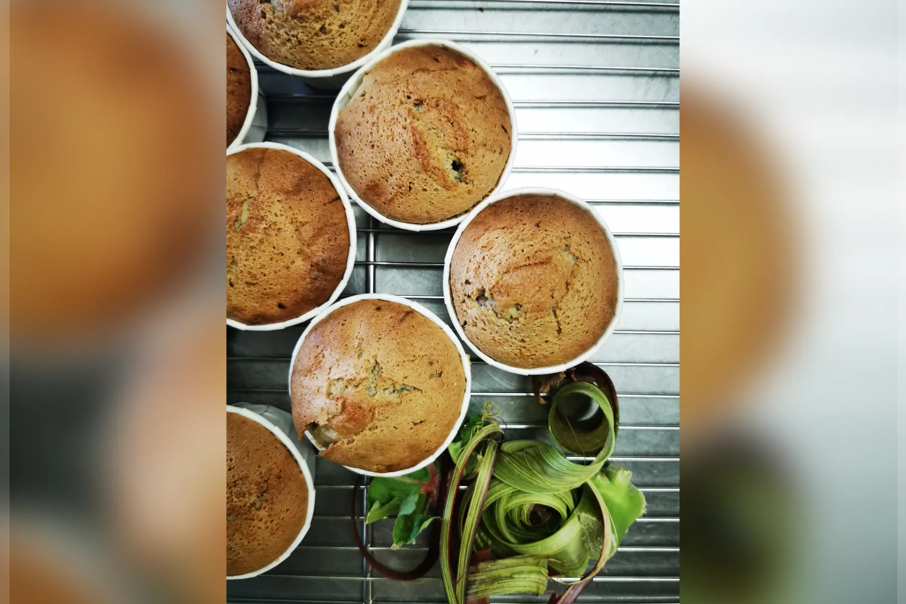 moelleux à la rhubarbe et au sarrasin vg sg