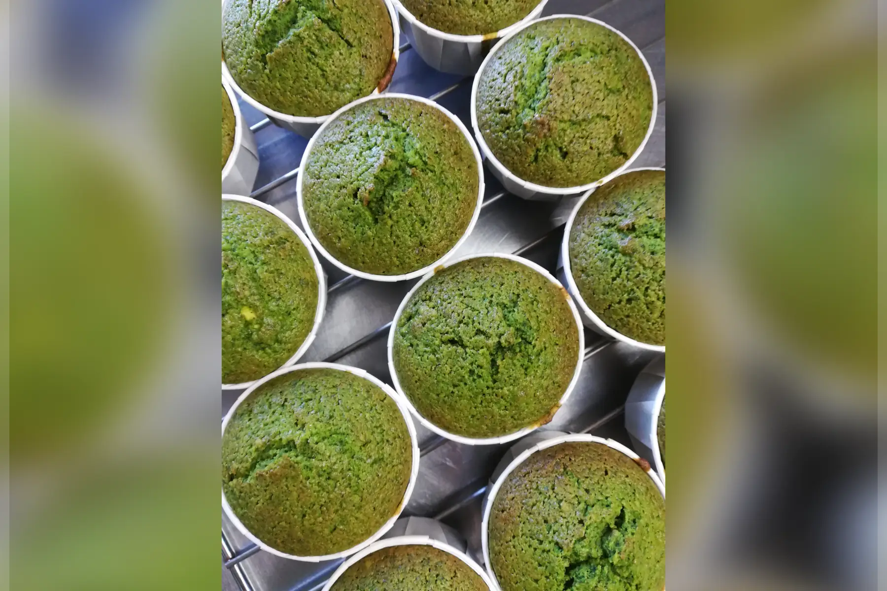 Muffin ind épinards et pépites de chocolat VG SG SPL