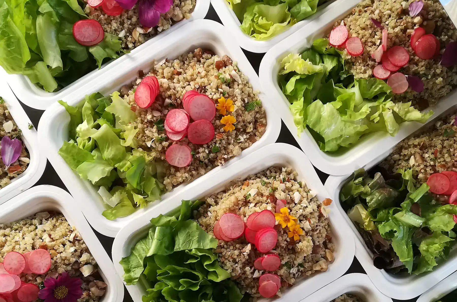 salade de quinoa bicolore abricots,, tomate et concombre v sg