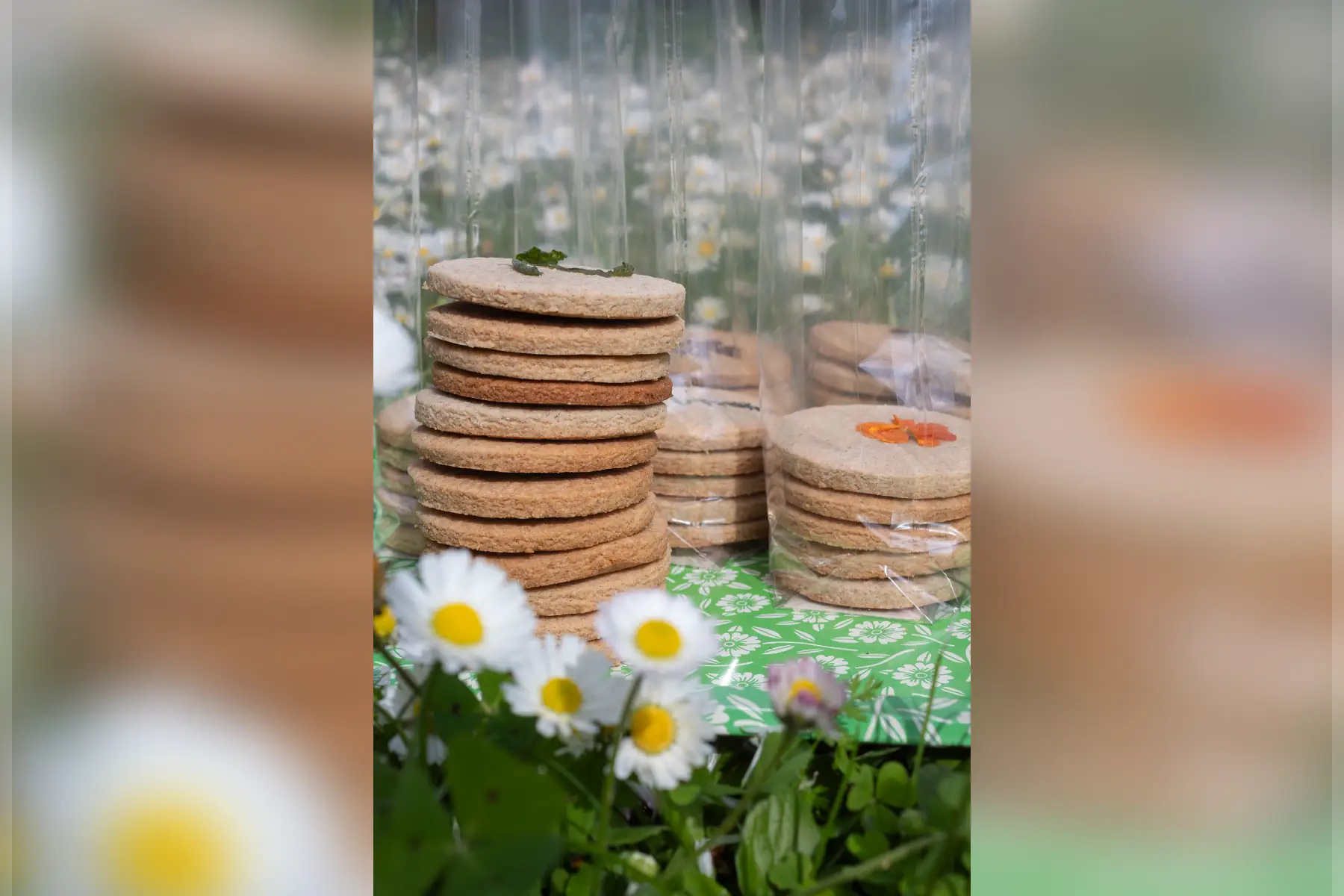 sablés fleuris 5 pièces vg sg