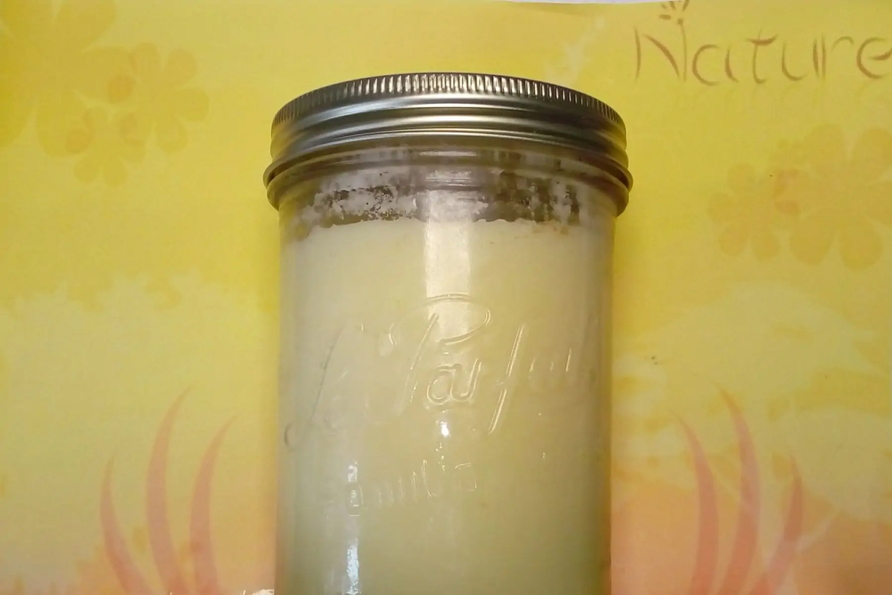 Graisse d'oie 750 mL