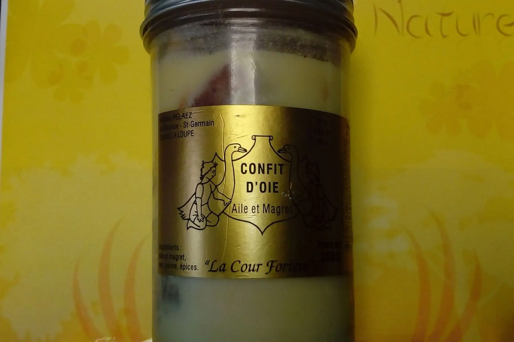 Confit d'oie - 1 aile et 1 magret