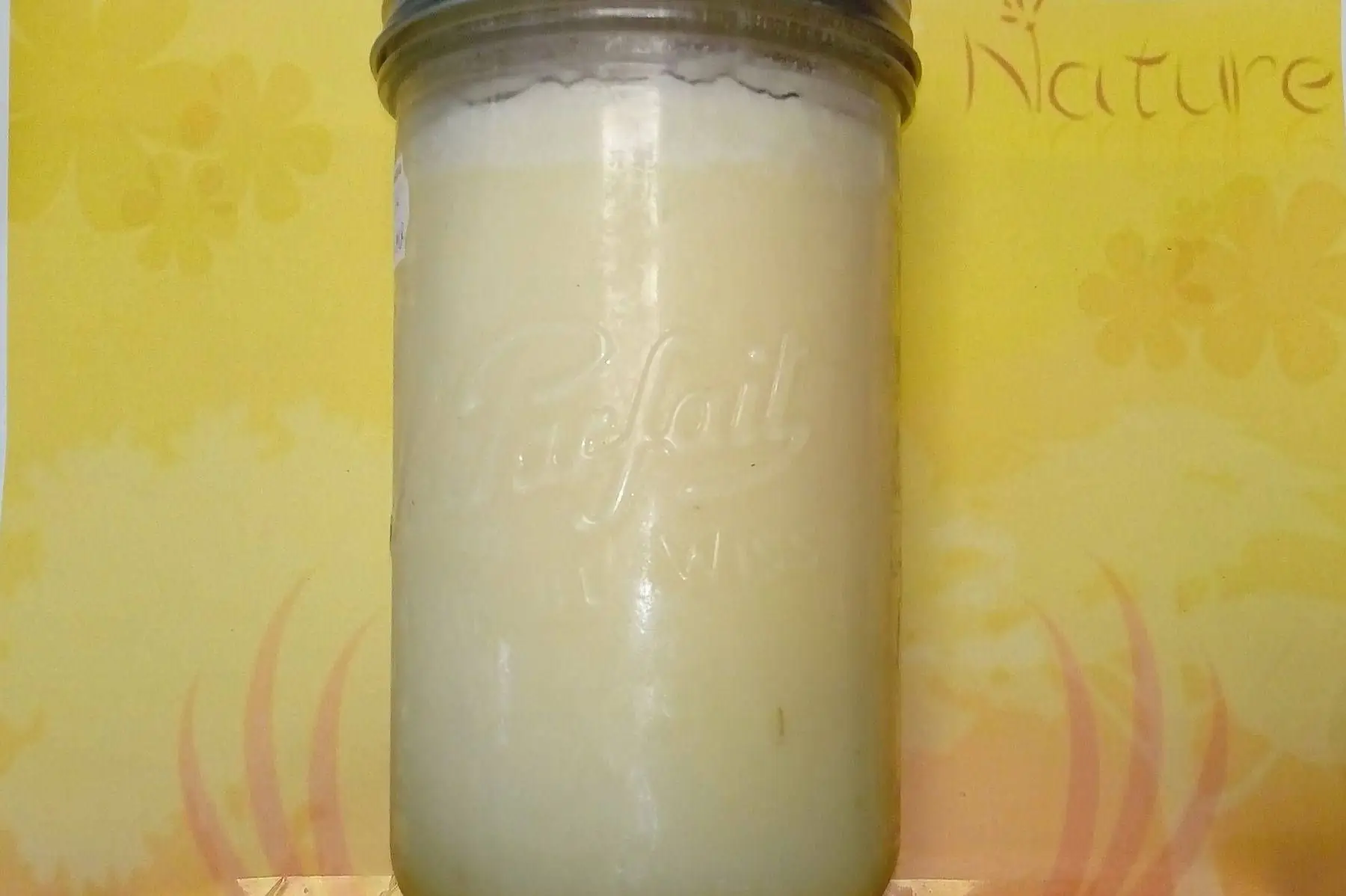 Graisse d'oie 1000 mL