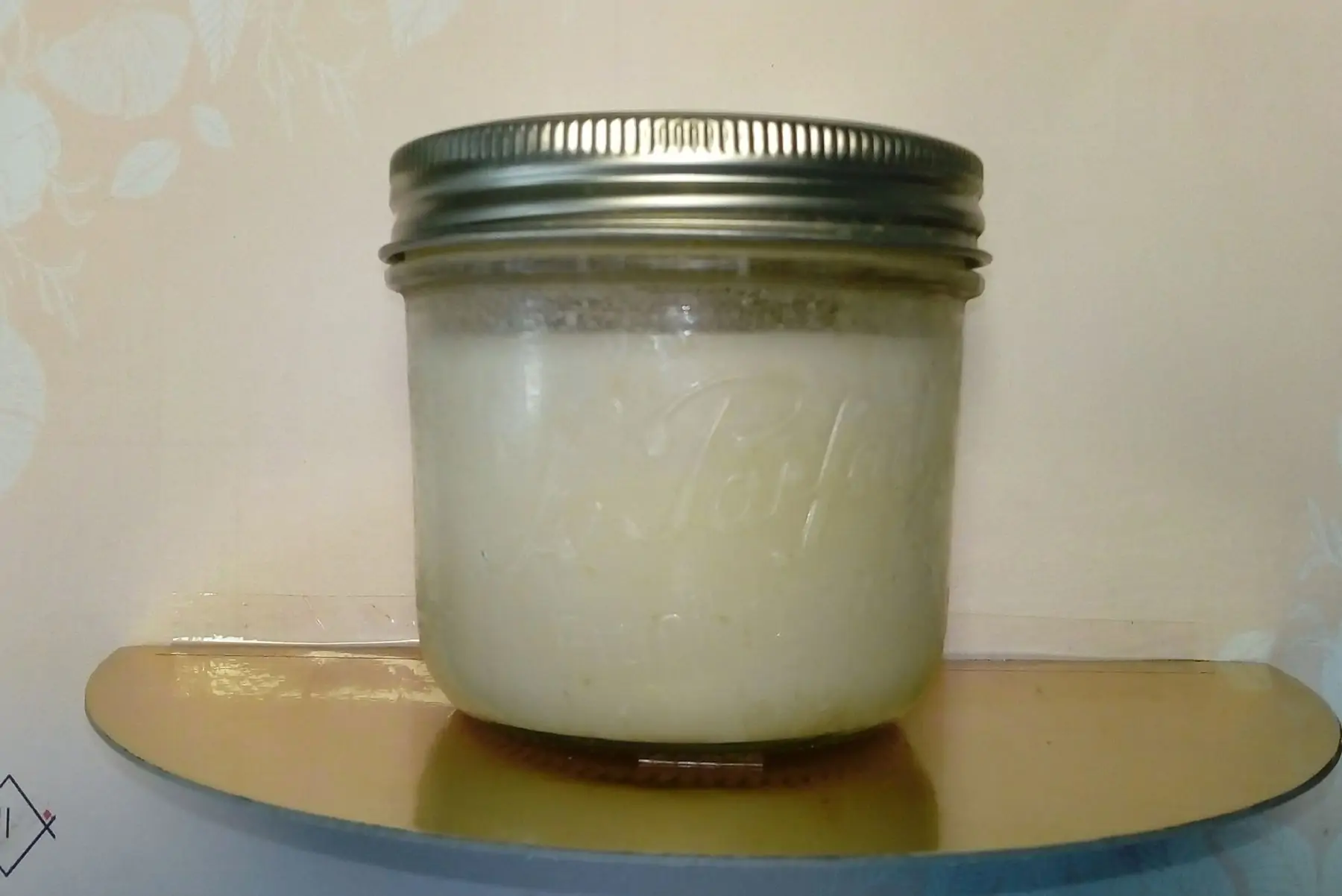 Graisse d'oie 500 mL