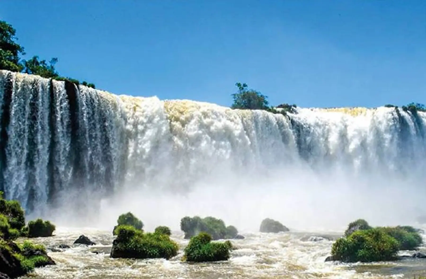 café brésil - décaféiné à l'eau