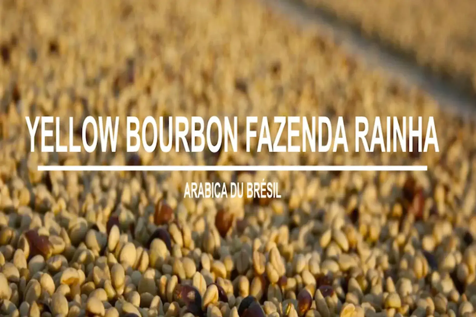 café brésil yellow bourbon