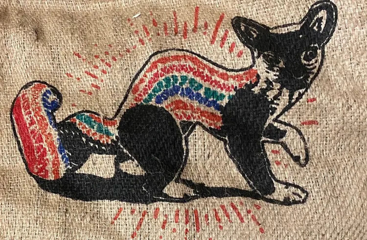 café mexique chocaman biologique