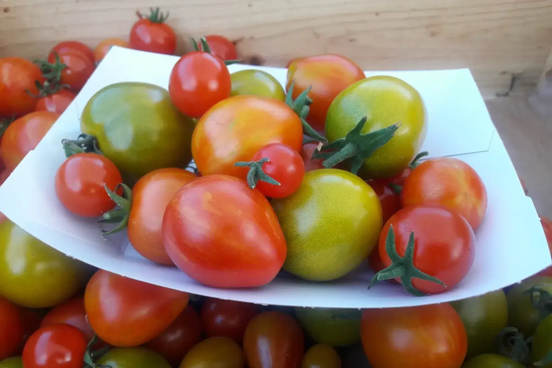 tomates cerises colorées (mélange)