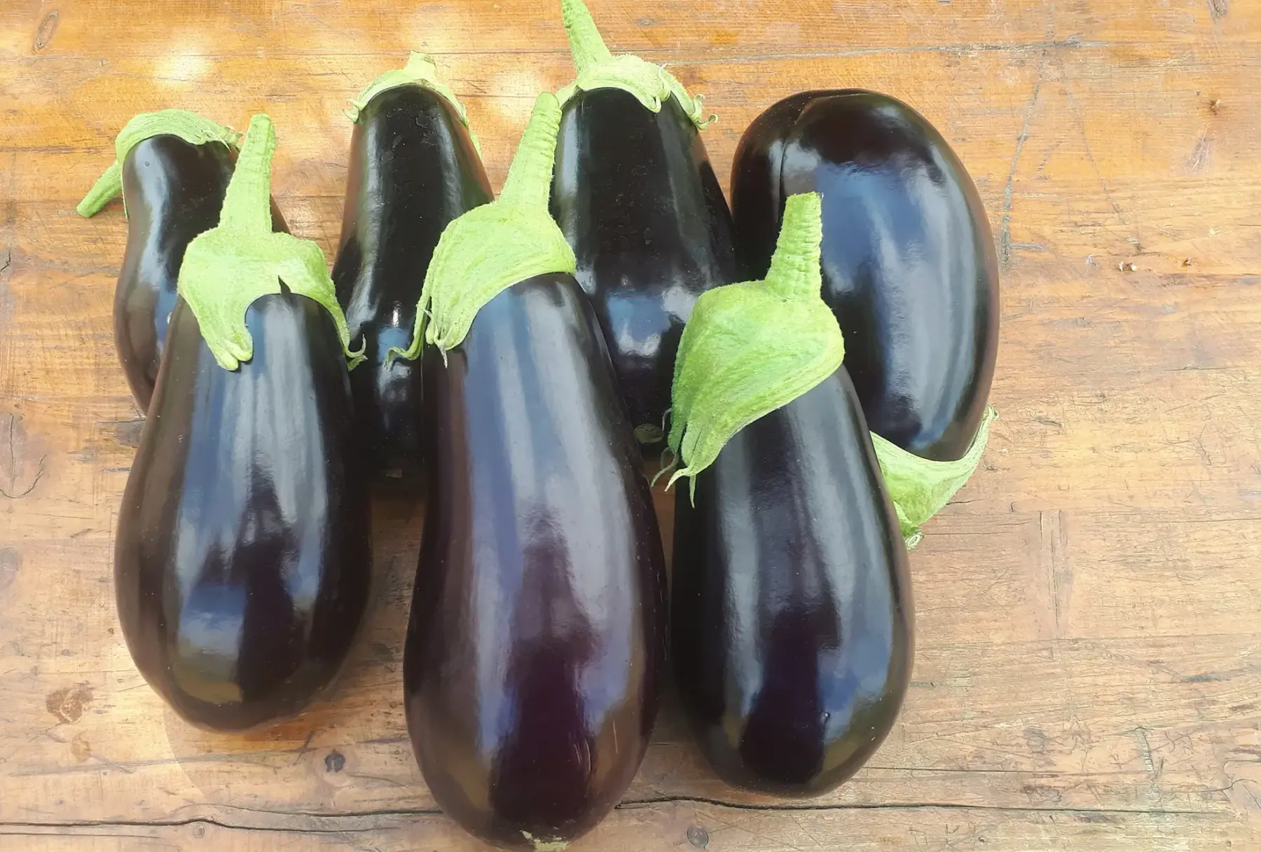 aubergines