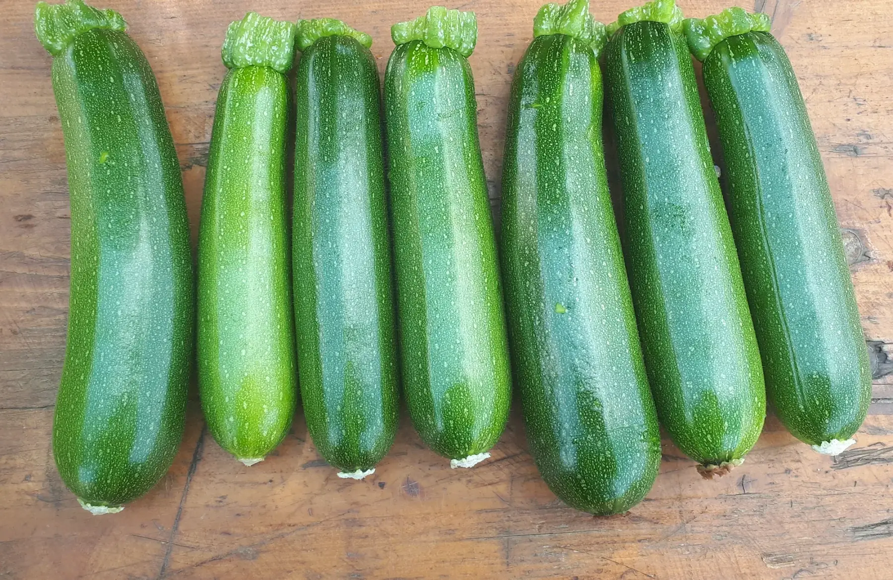 courgettes vertes
