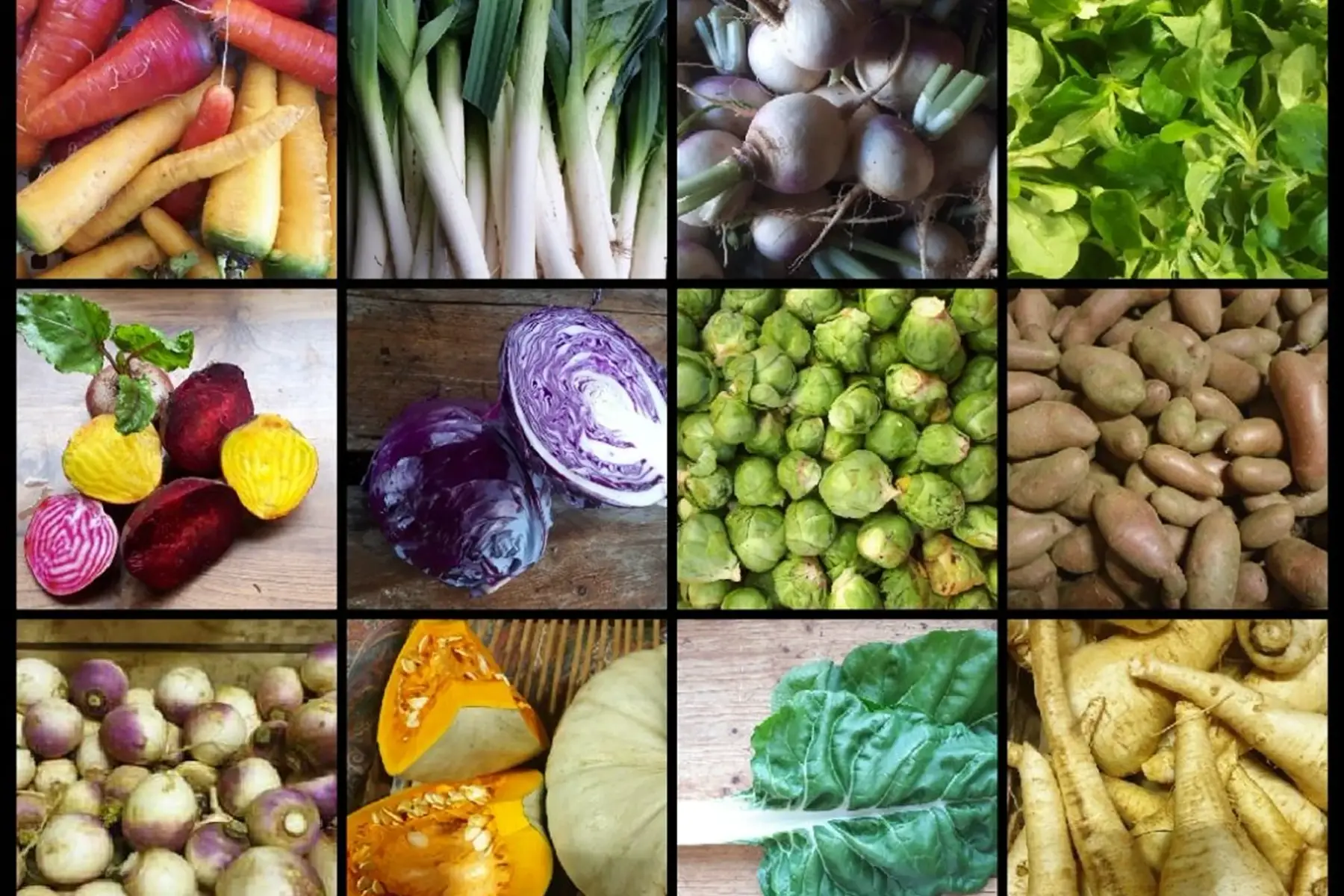 panier de saison à 20 euros