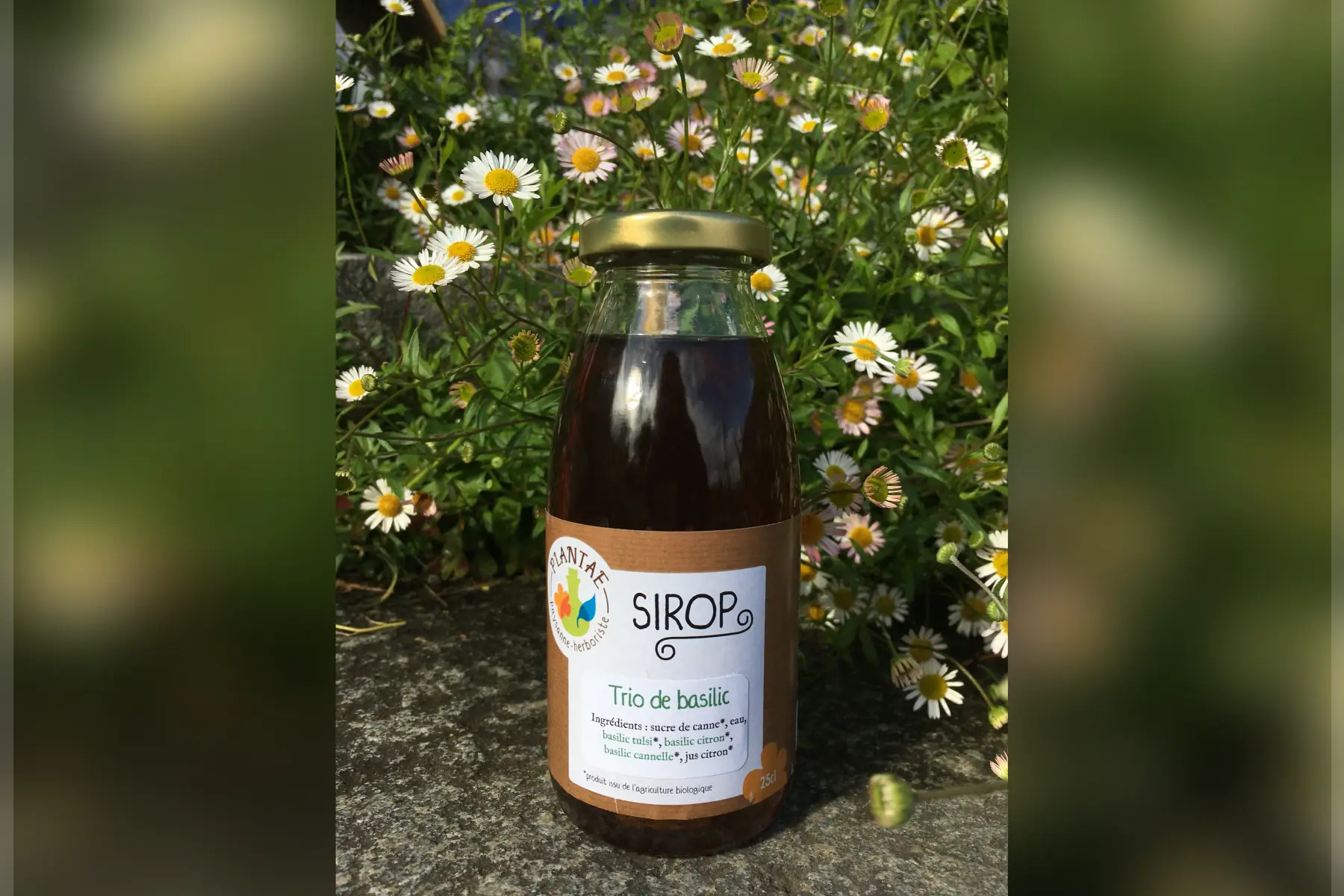 sirop trio de basilic 25cl