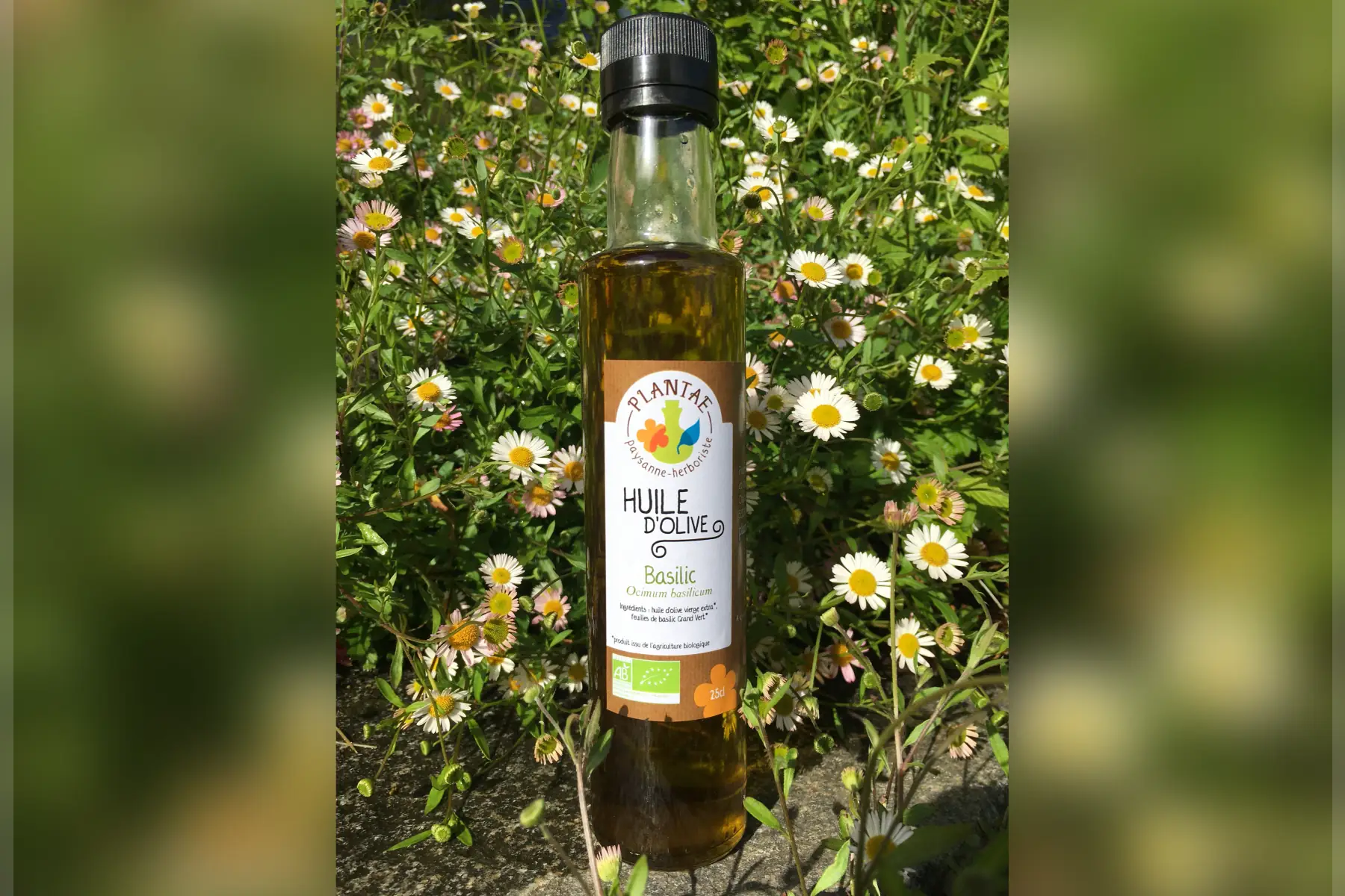 huile d'olive au basilic 25cl