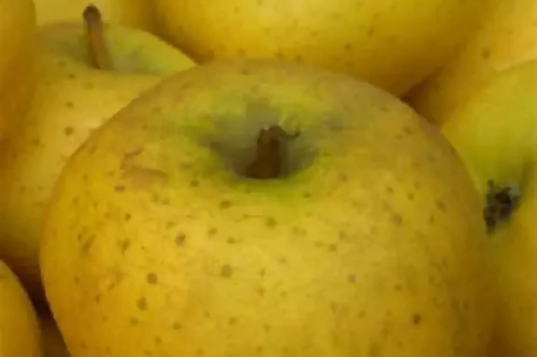 Pomme bio ( Chantecler )