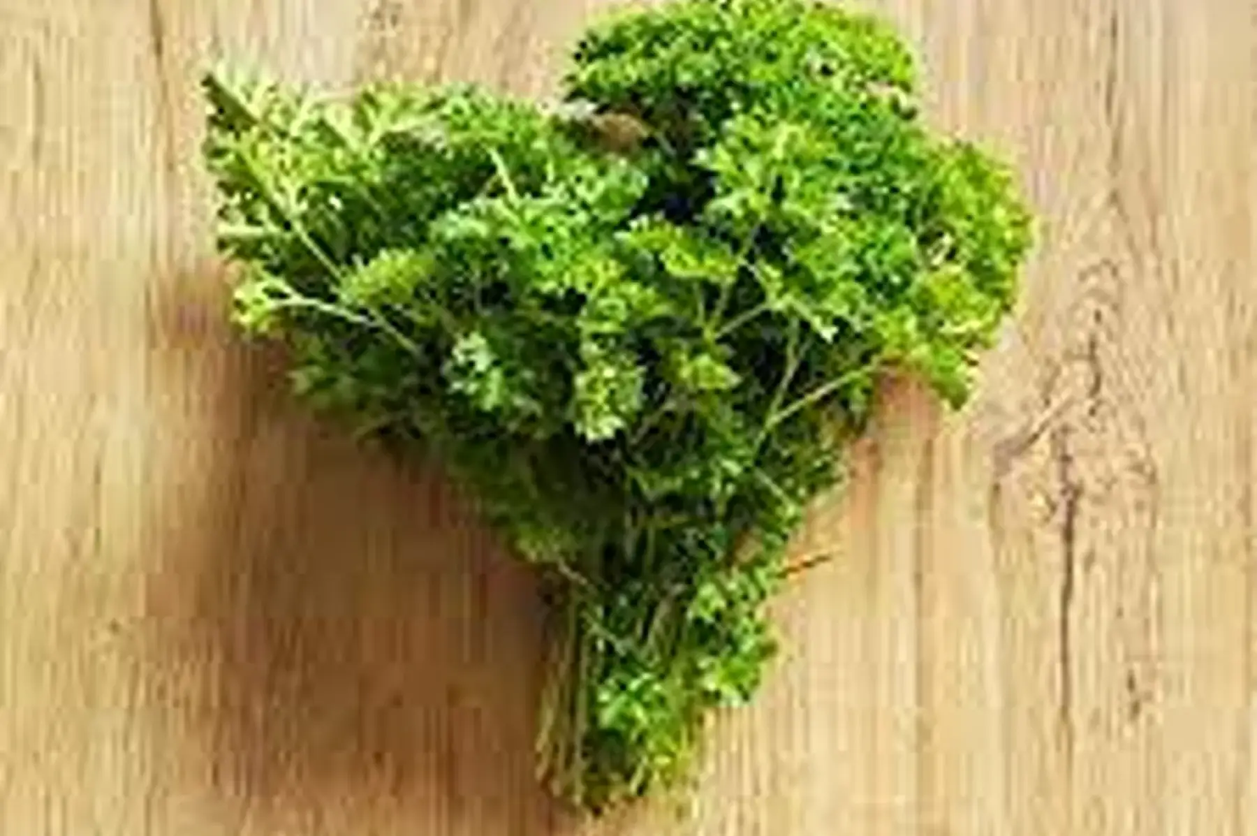 bouquet persil frisé