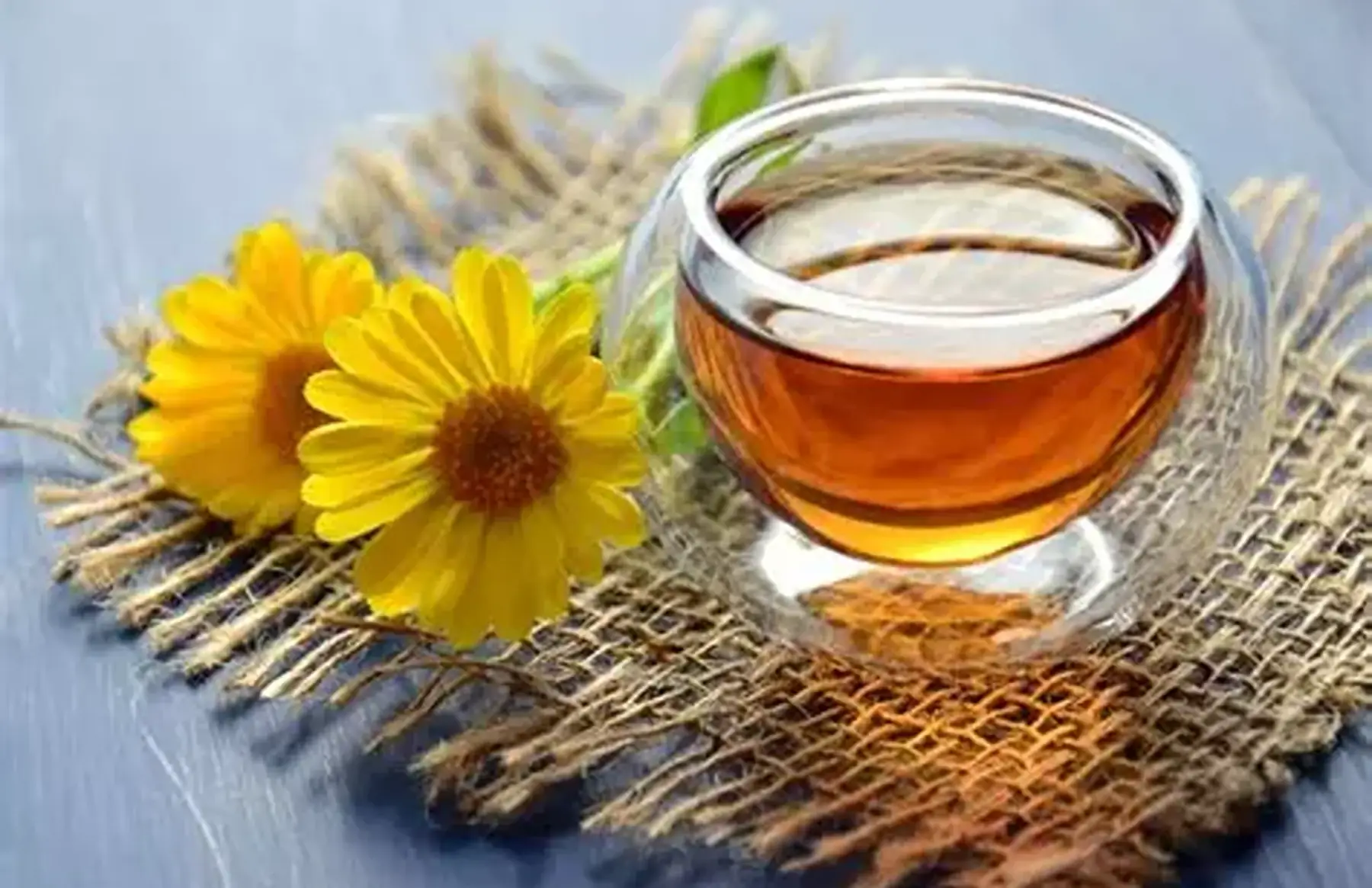 Tisane La Mayennaise Tonique Matinale