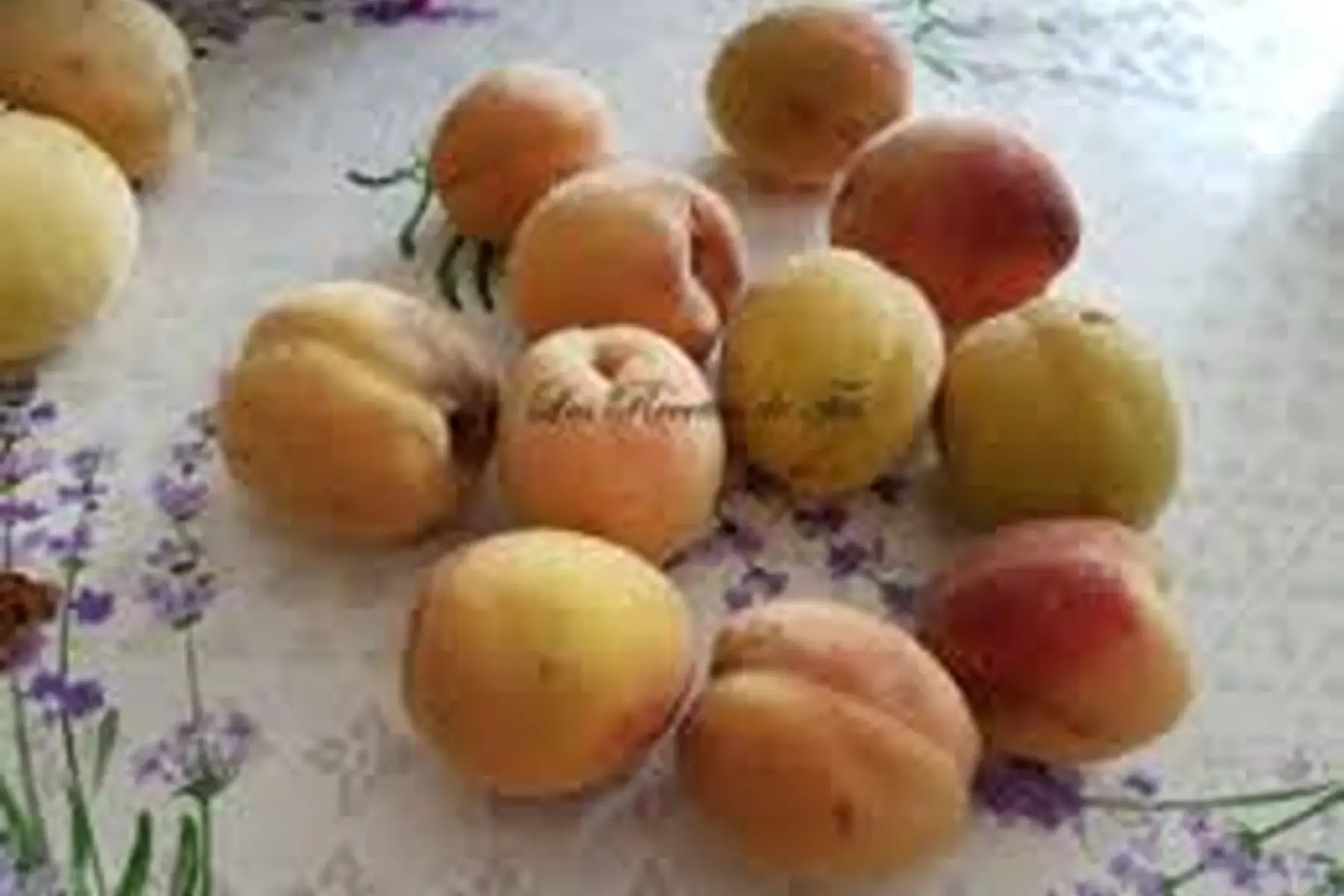 peches de vigne