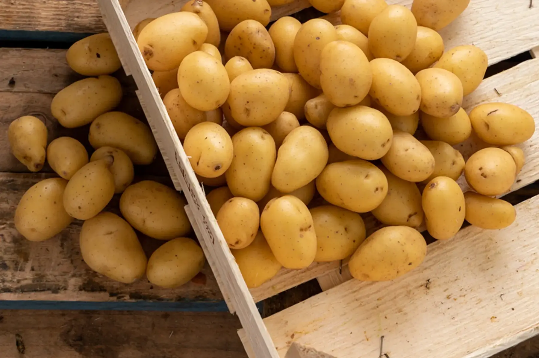 Pommes de terre grenaille