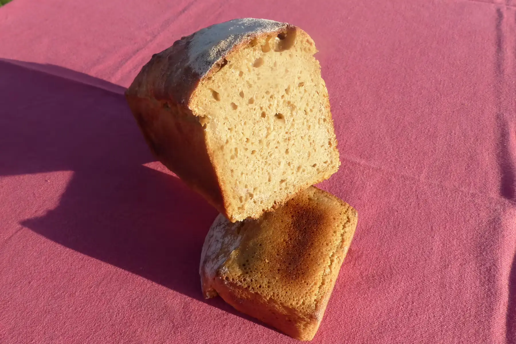 l'Engrain ou "le  Pur Petit-Epeautre"