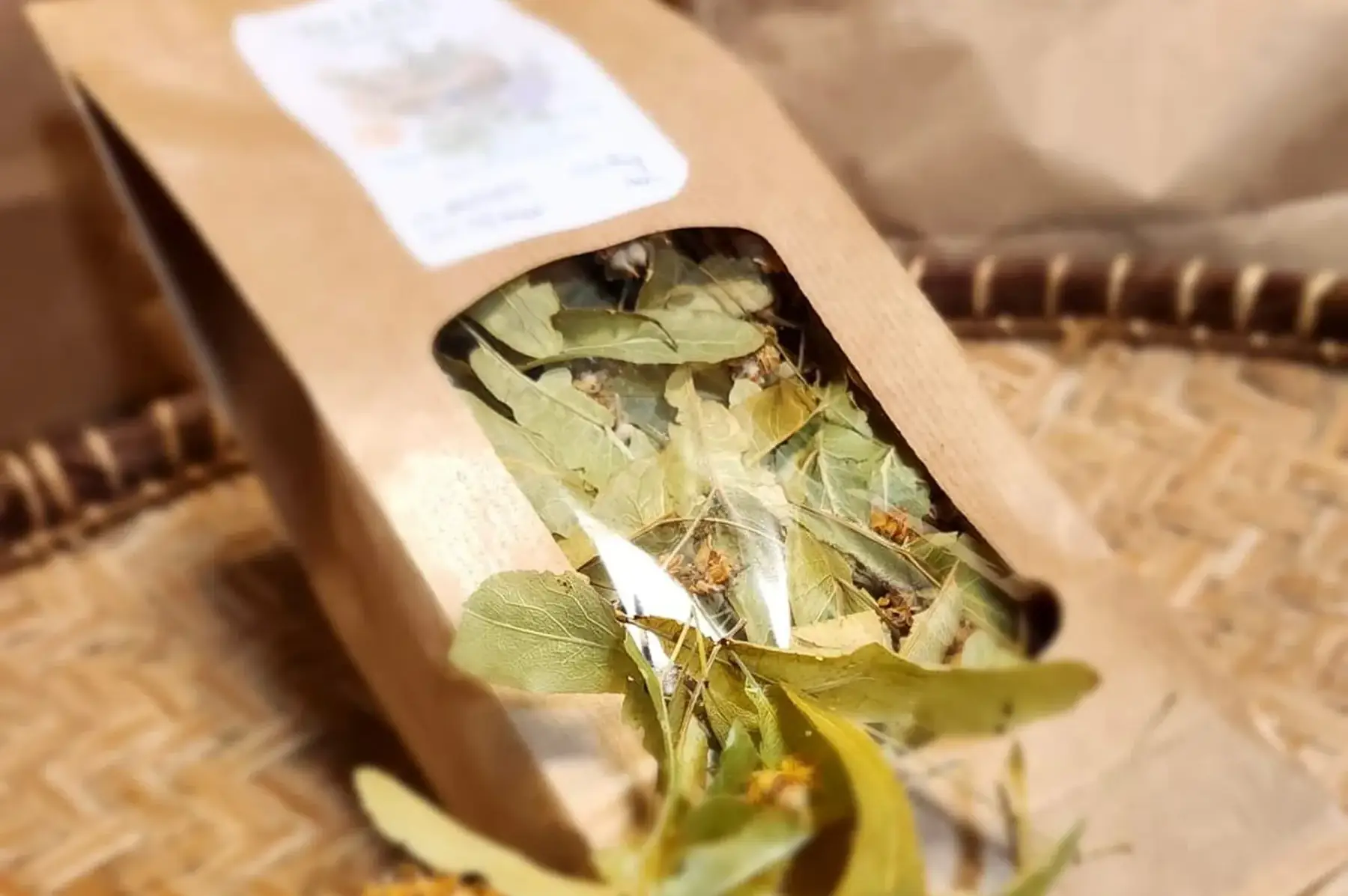 fleurs de tilleul (tilia platyphyllos)