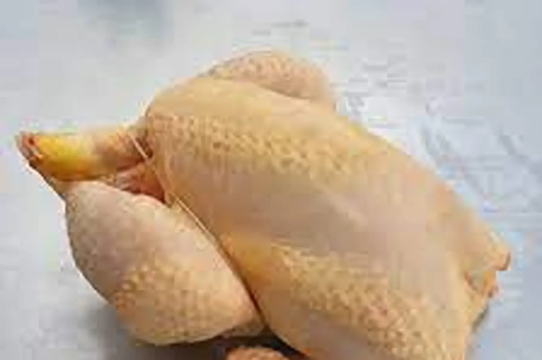 poulet entier prêt à cuire bio