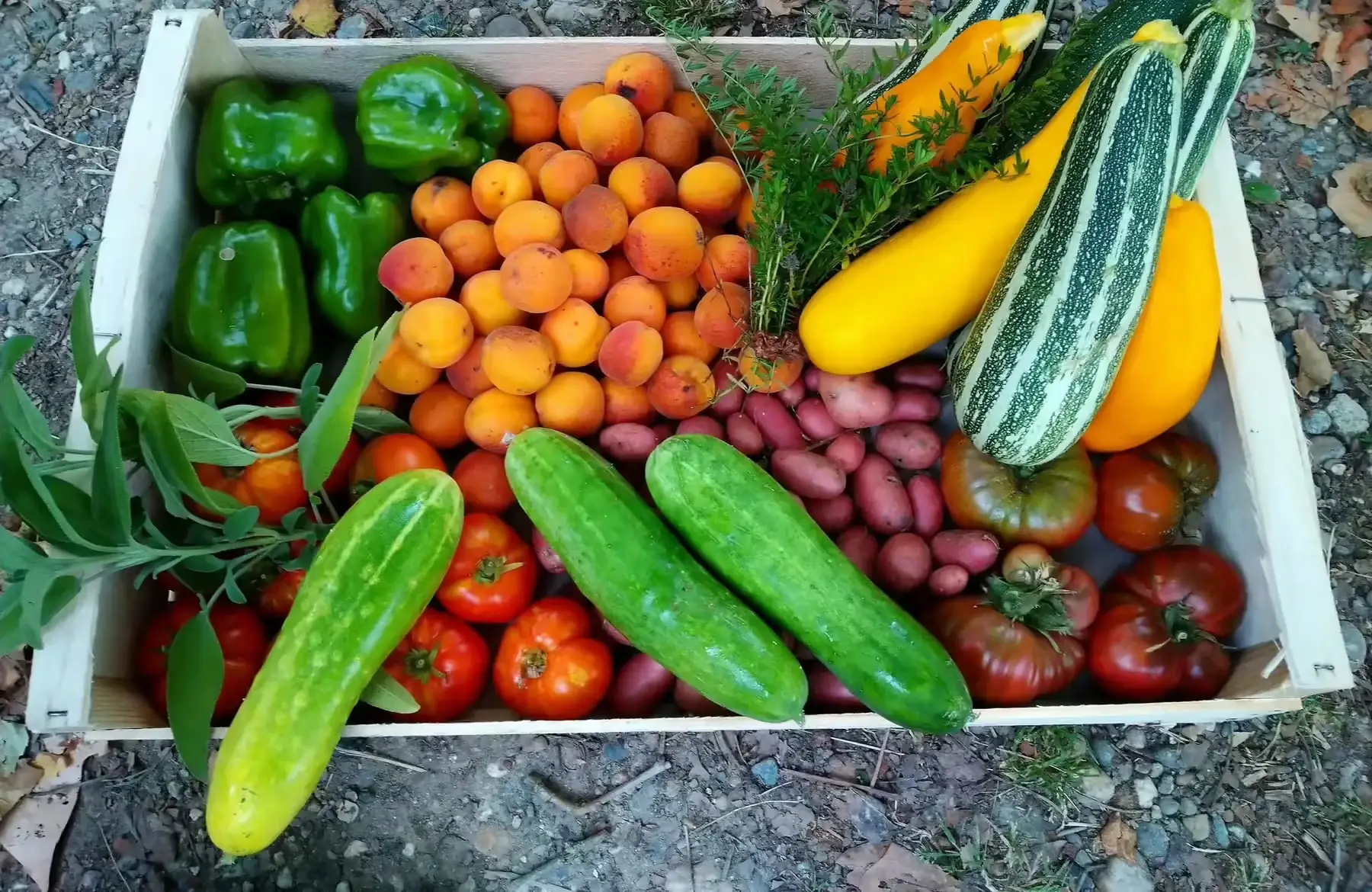 Les Bioruraux et Compagnie