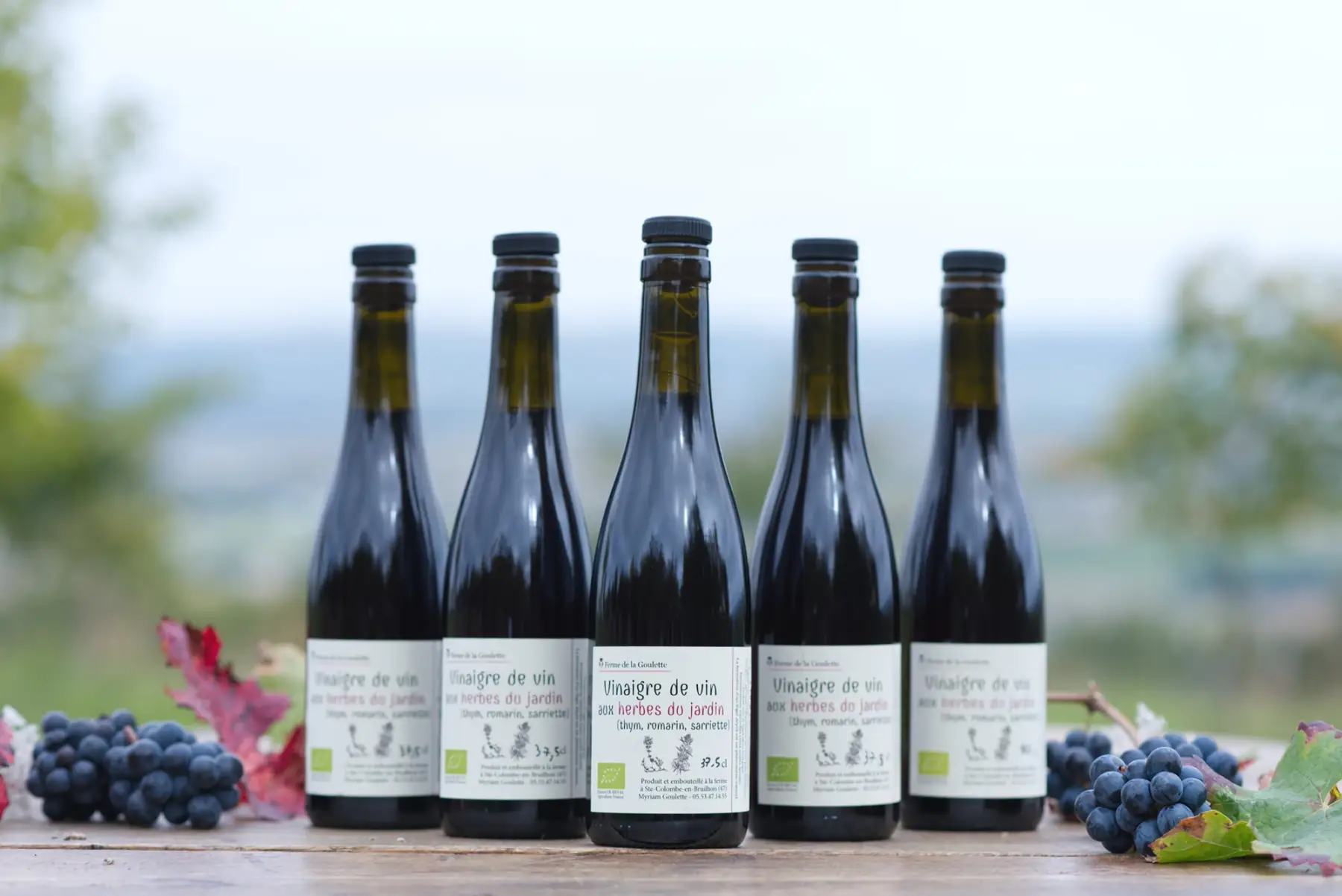 vinaigre de vin rouge aux herbes du jardin