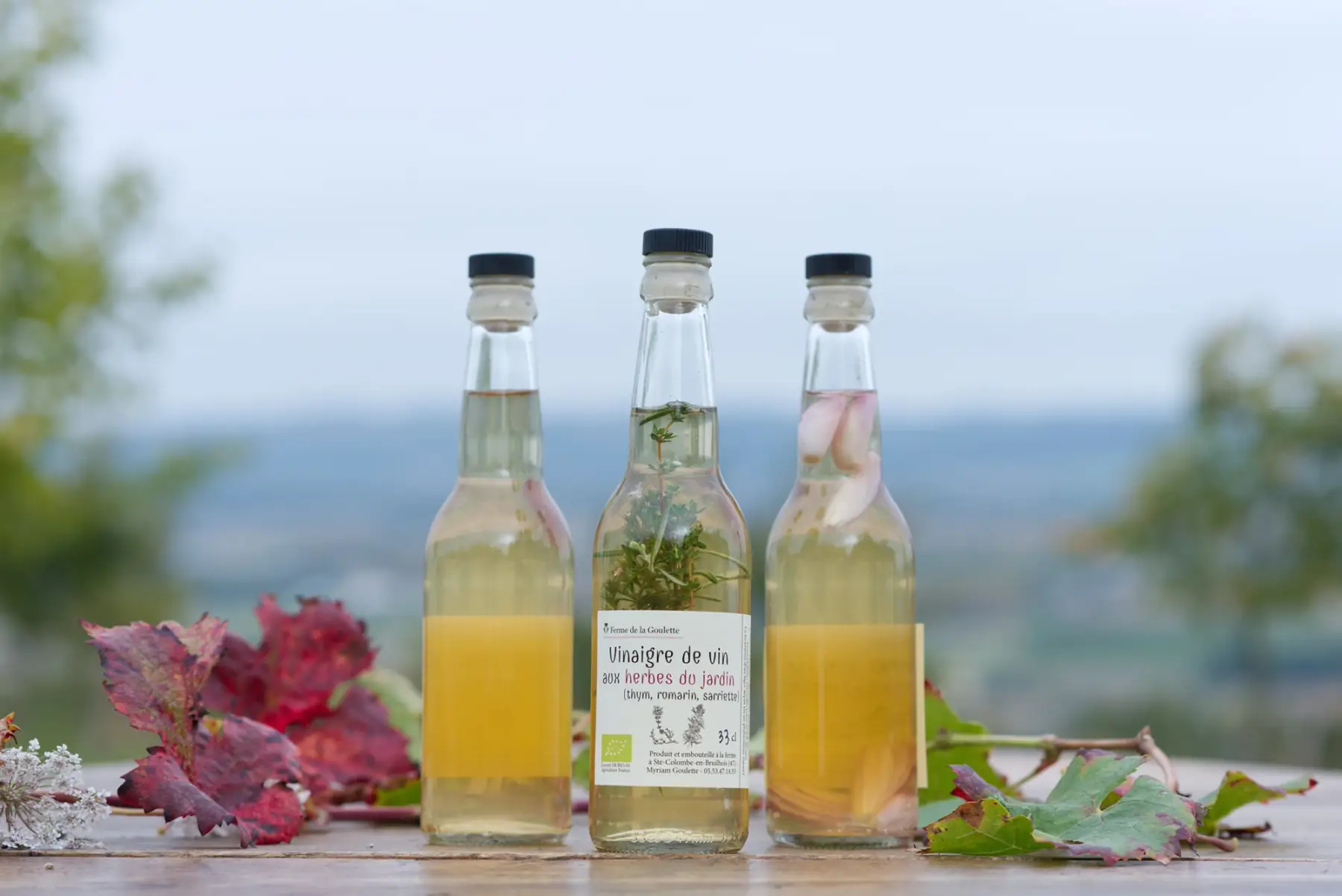 vinaigre de vin blanc aux herbes du jardin