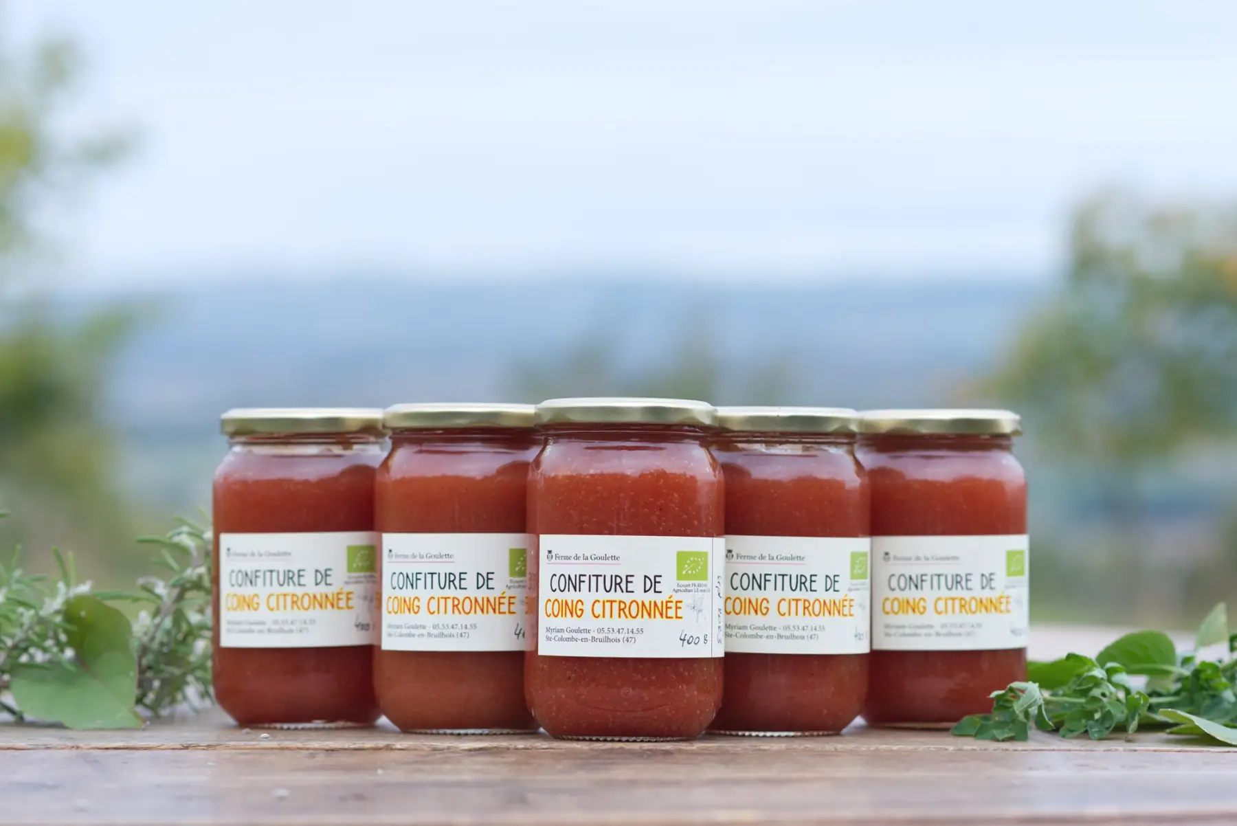 confiture de coing citronnée