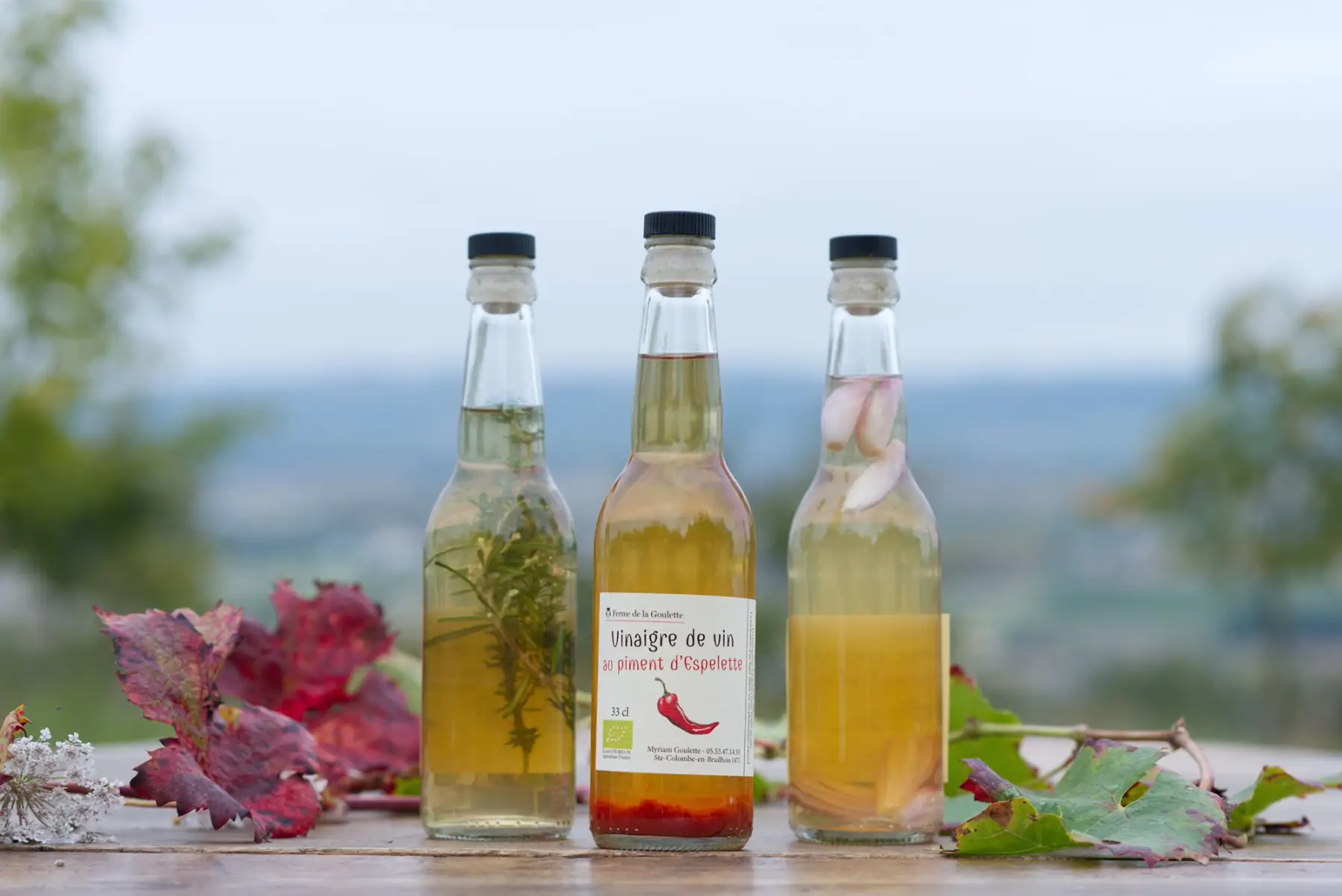 vinaigre de vin blanc au piment d'espelette