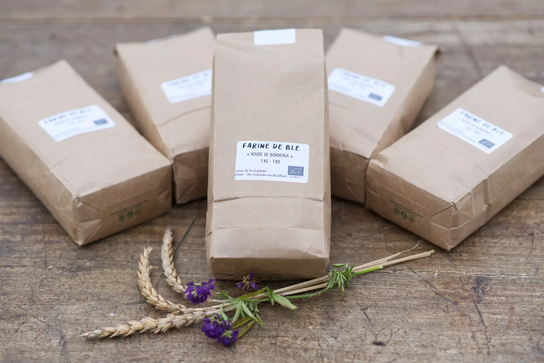 farine de blé "rouge de bordeaux" t80