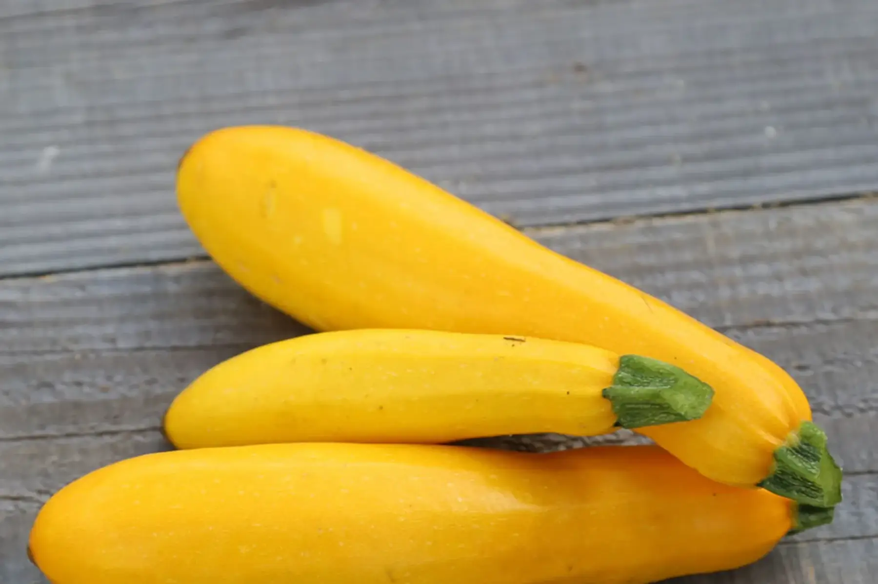 courgettes jaune bio
