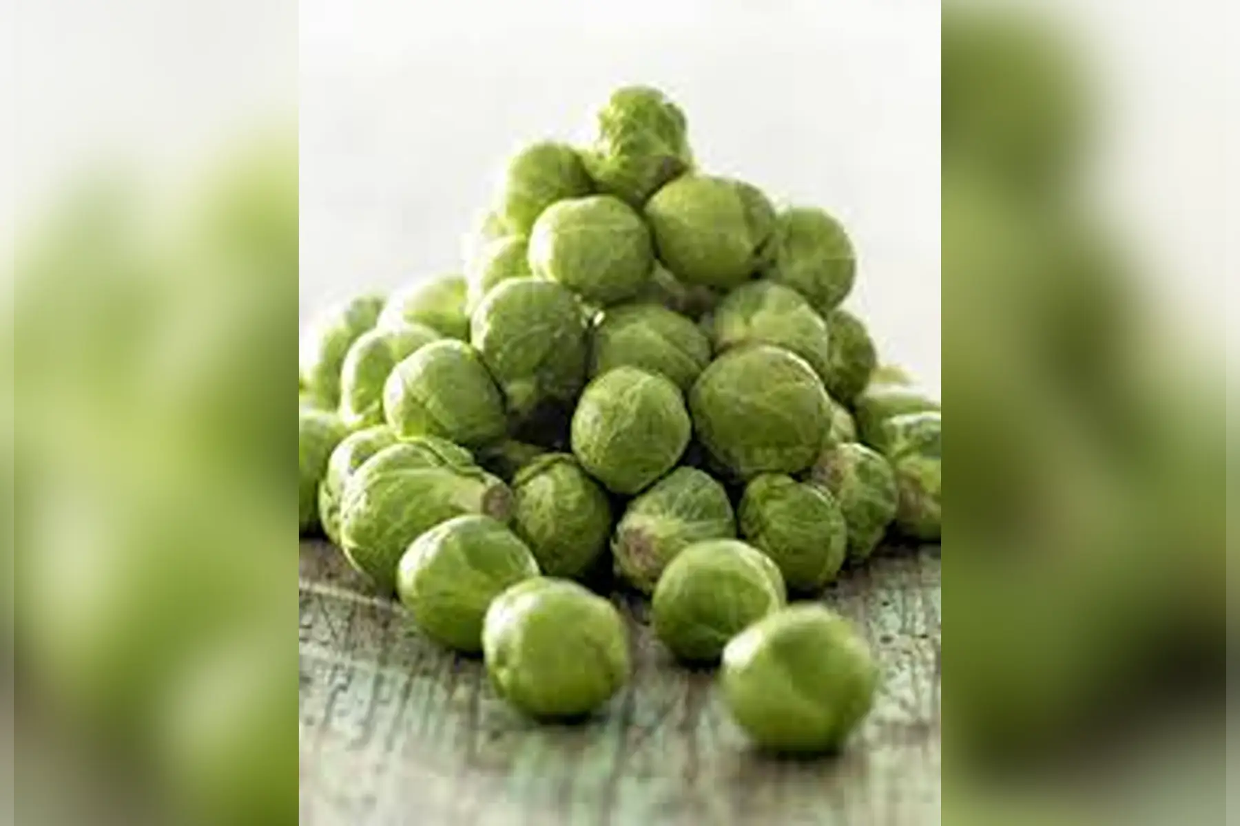 choux de bruxelles bio