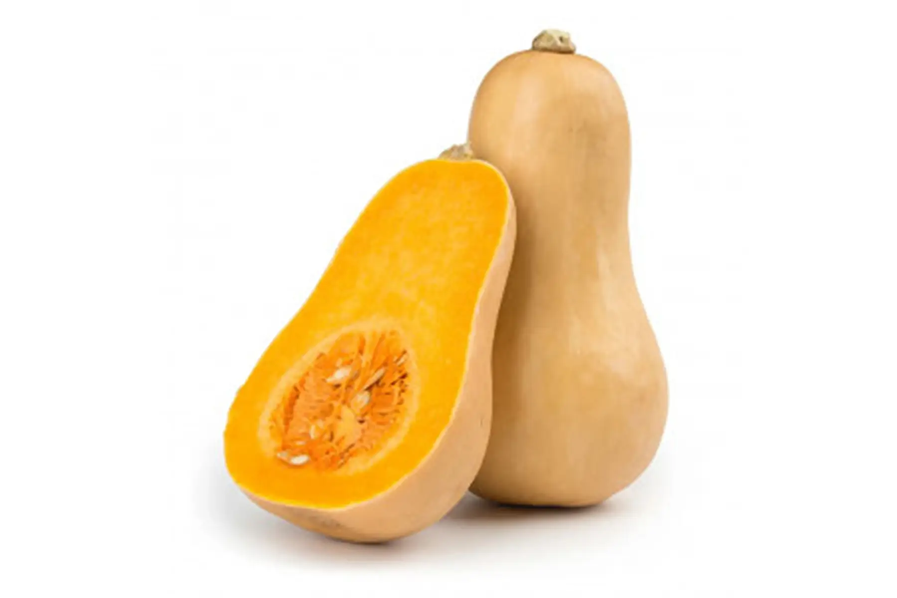 sucrine du berry bio