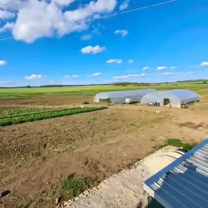 LE JARDIN DES ILLOTTES