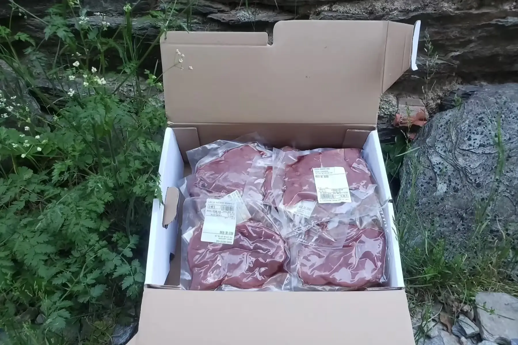 viande boeuf / veau bio