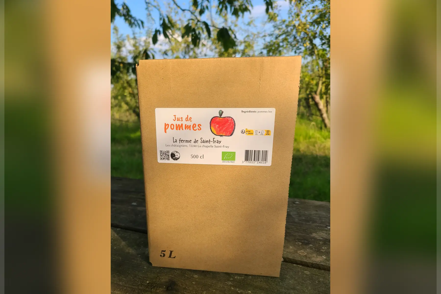 jus de pommes bio 5l