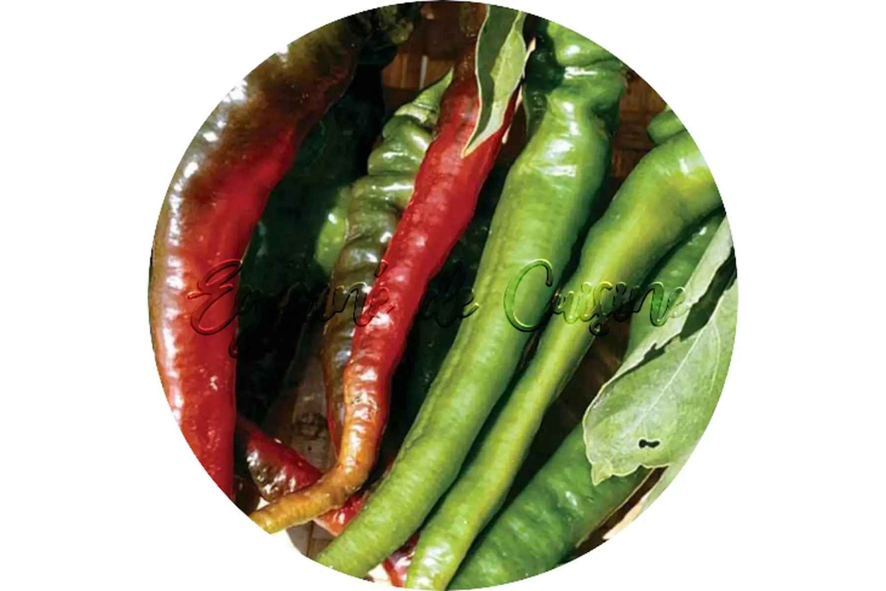 poivron doux des landes