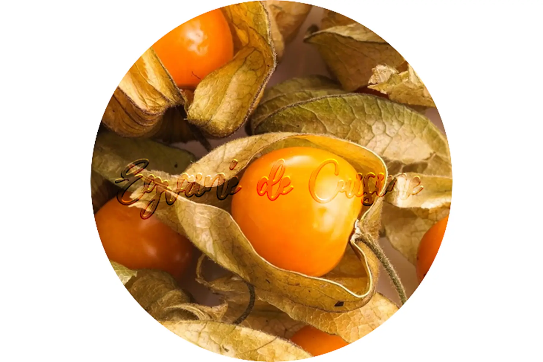 physalis