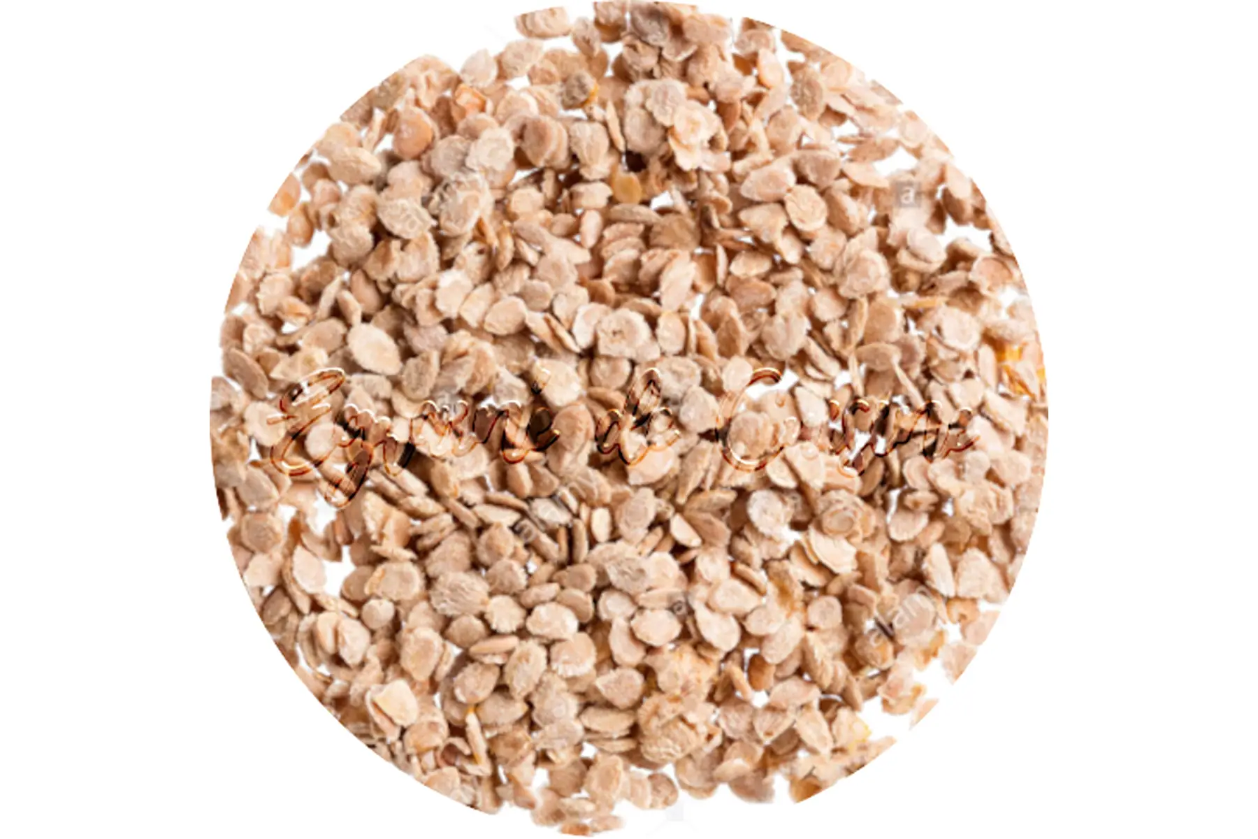 graines tomates cerises