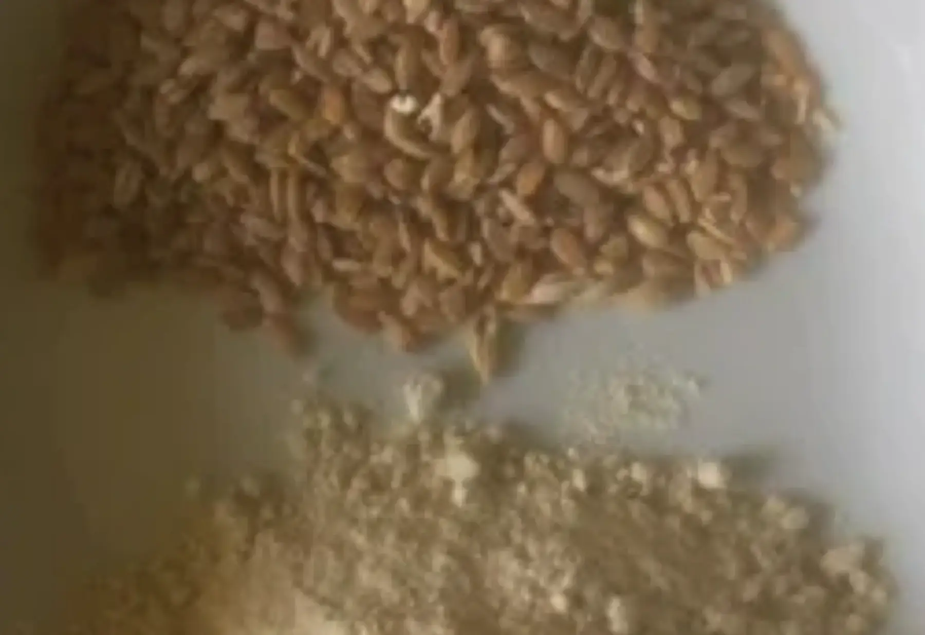 farine de petit épeautre