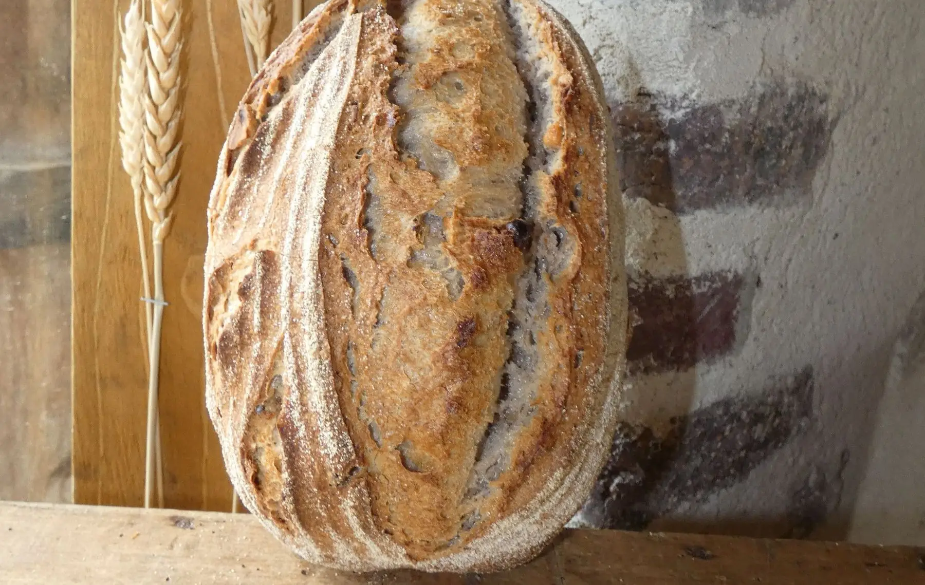 noisette grillées 500gr