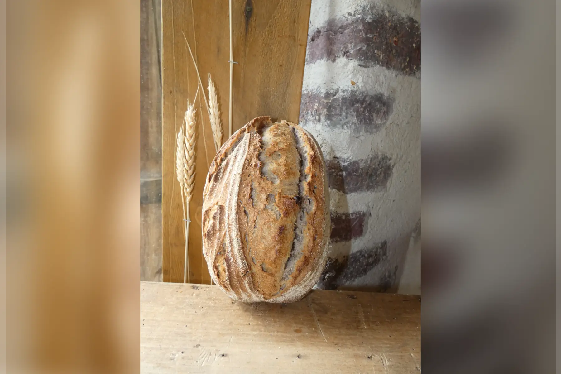 noix noisette grillees 500gr