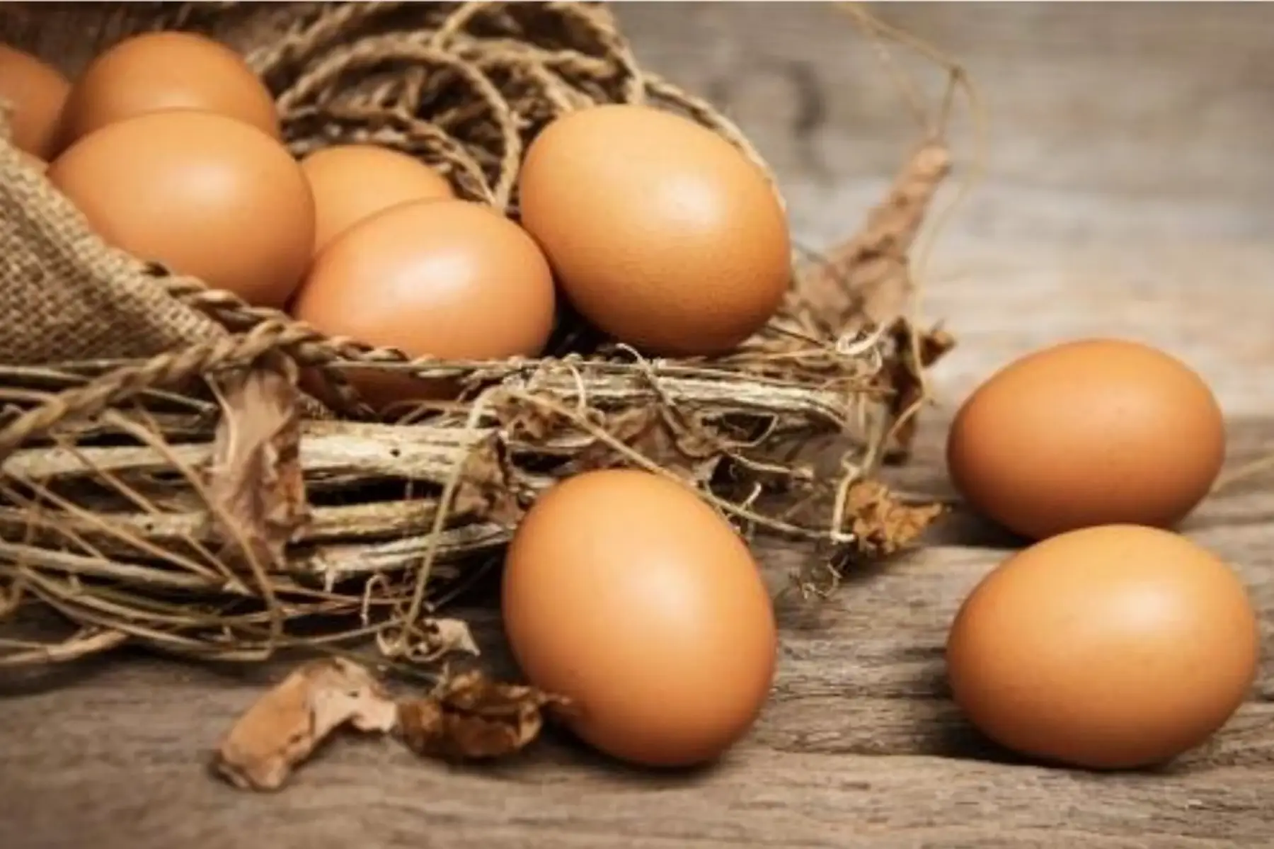 6 œufs frais (petits <53g)