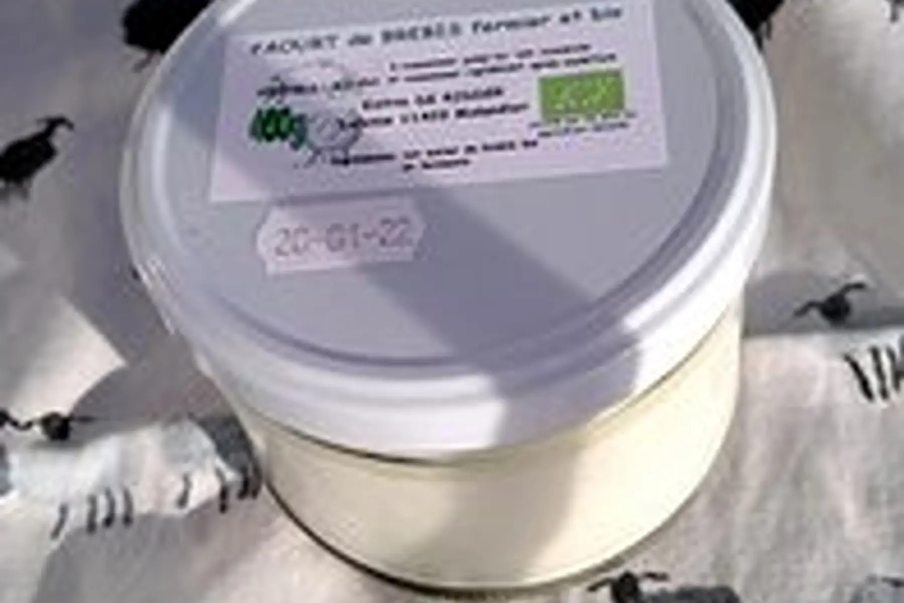 petit yaourt de brebis