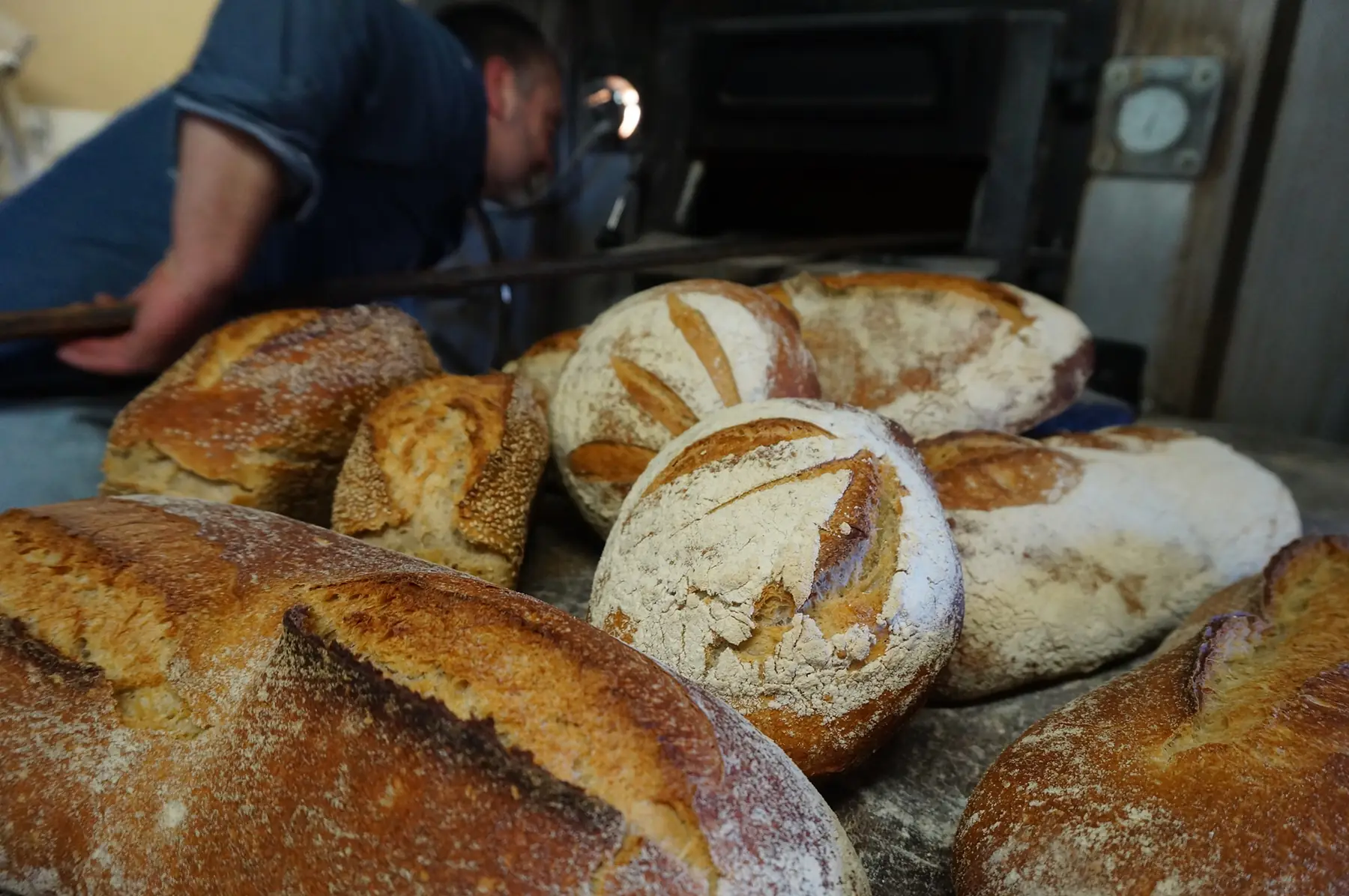 pain blé nature boule