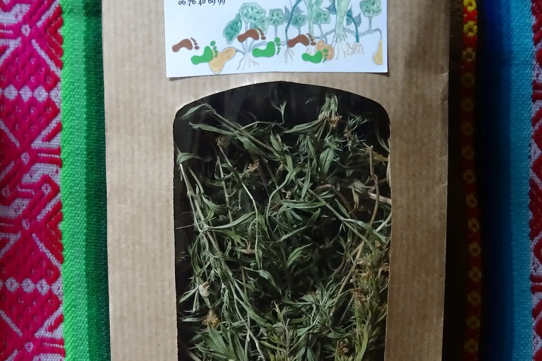 "Le jardin des mille pas"