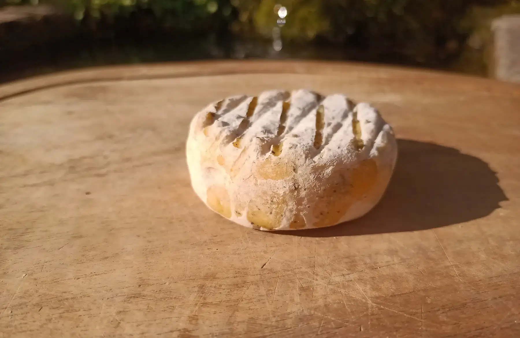 garneyrond très sec