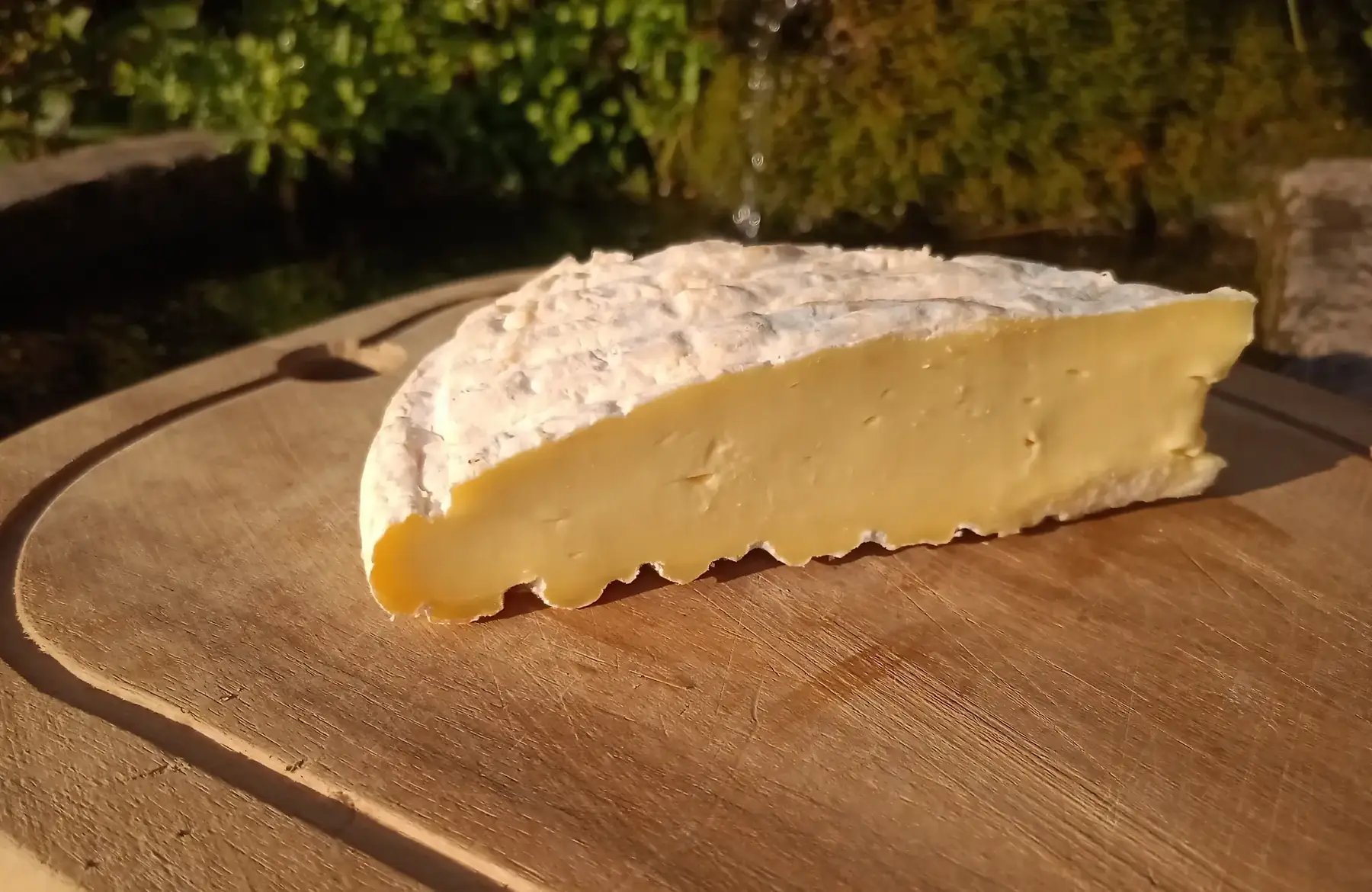 tomme de garneyre